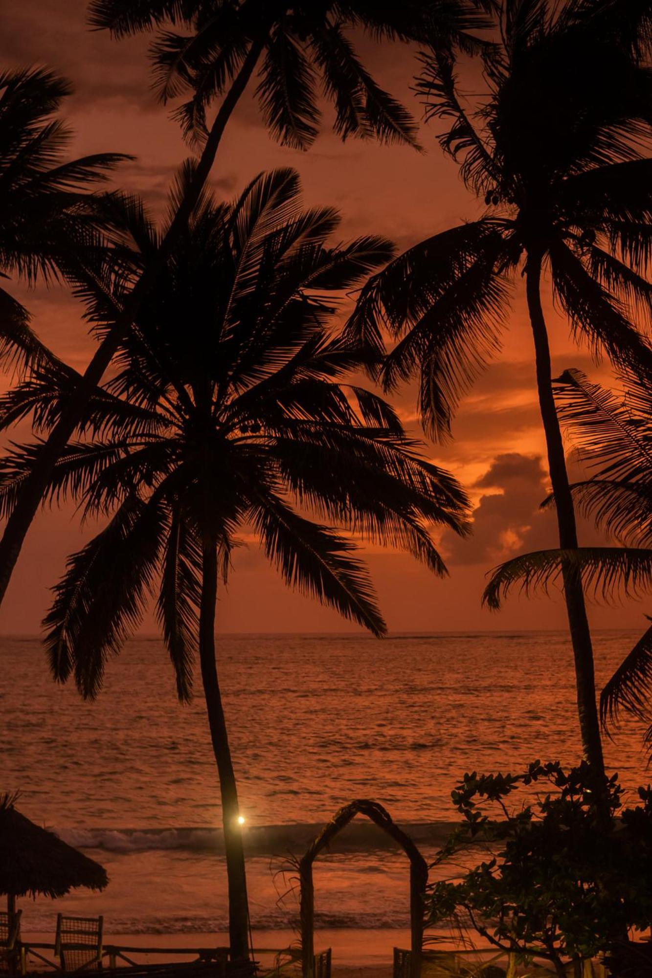 Kima Serviced Beach House & Suites Bwejuu Buitenkant foto