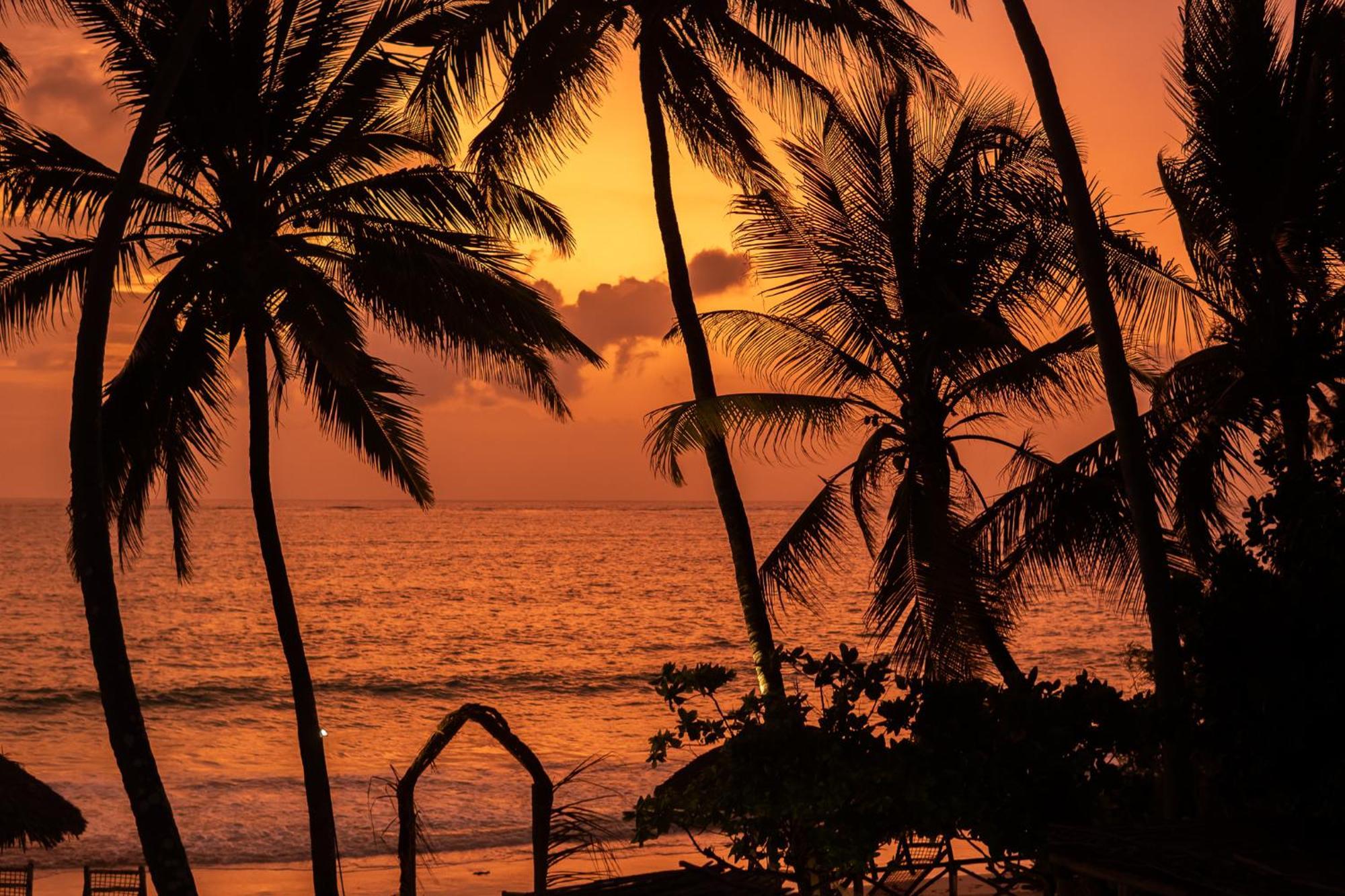 Kima Serviced Beach House & Suites Bwejuu Buitenkant foto