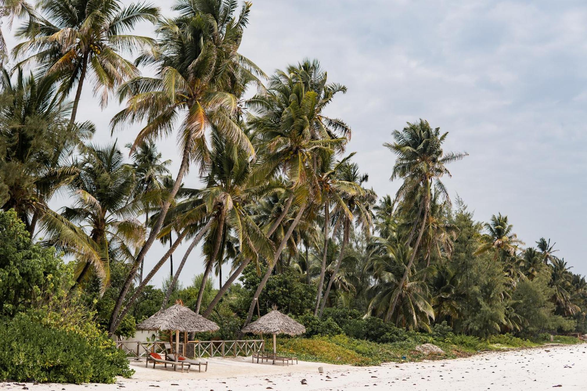 Kima Serviced Beach House & Suites Bwejuu Buitenkant foto